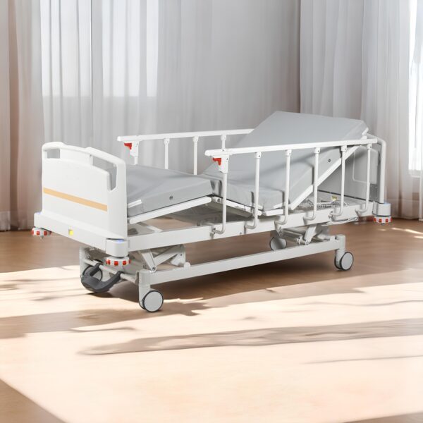 Function Electric Bed TYS-A03