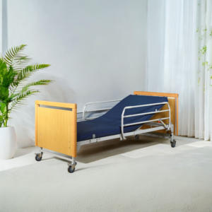 Function Electric Bed TSY-T2A