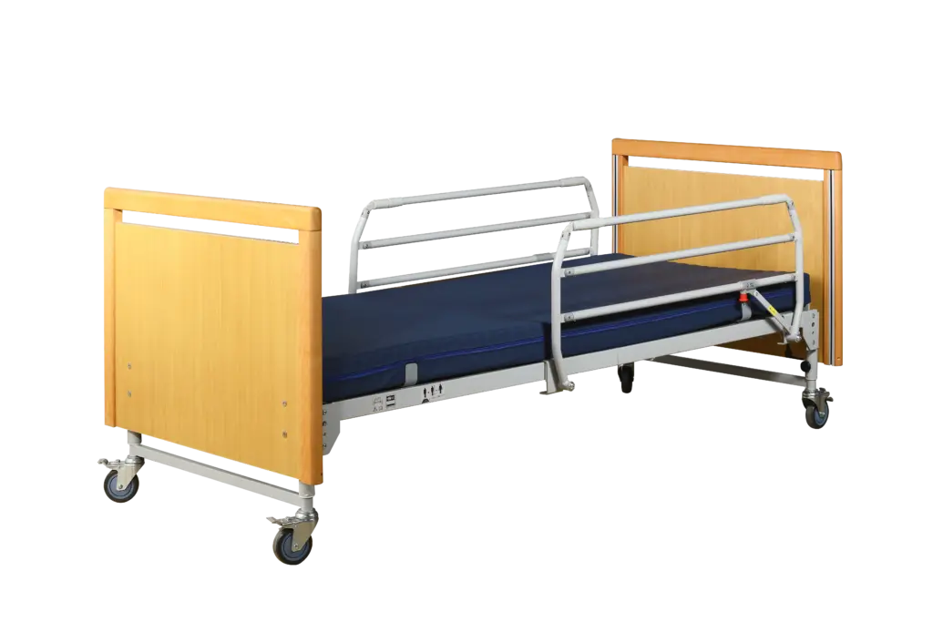 Function Electric Bed TSY-T2B-1