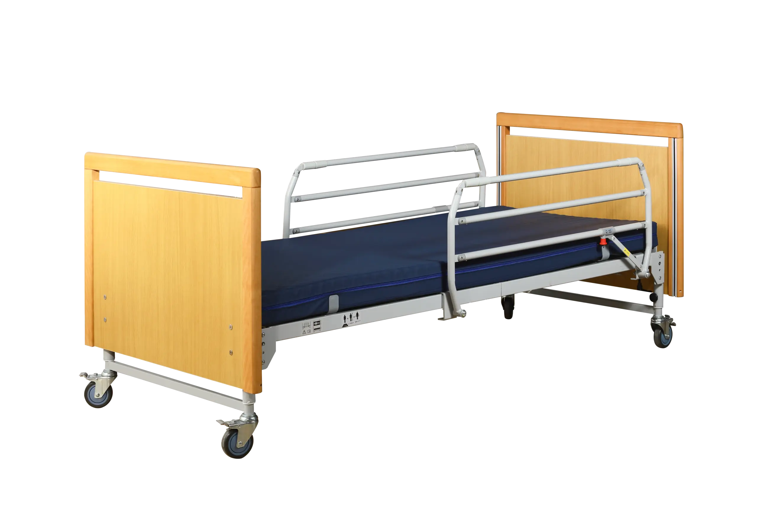 Function Electric Bed TSY-T2B-1