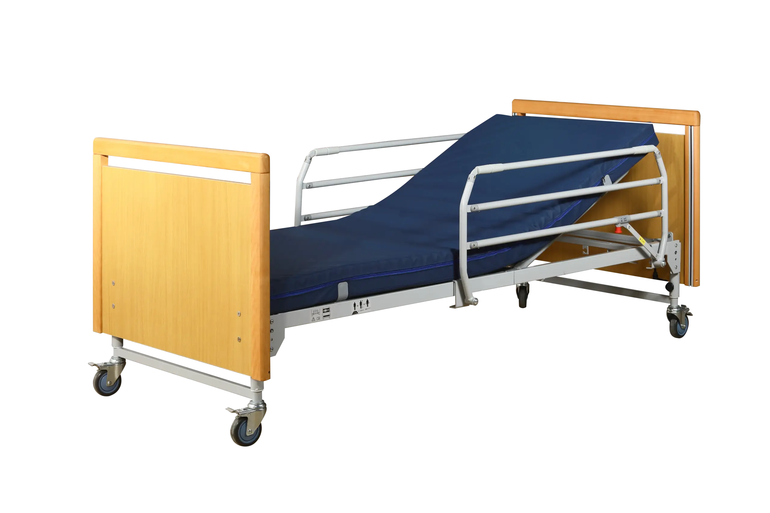 Function Electric Bed TSY-T2B-4