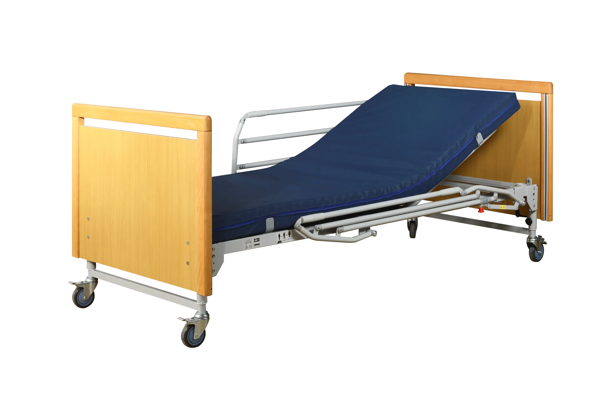 Function Electric Bed TSY-T2B-5