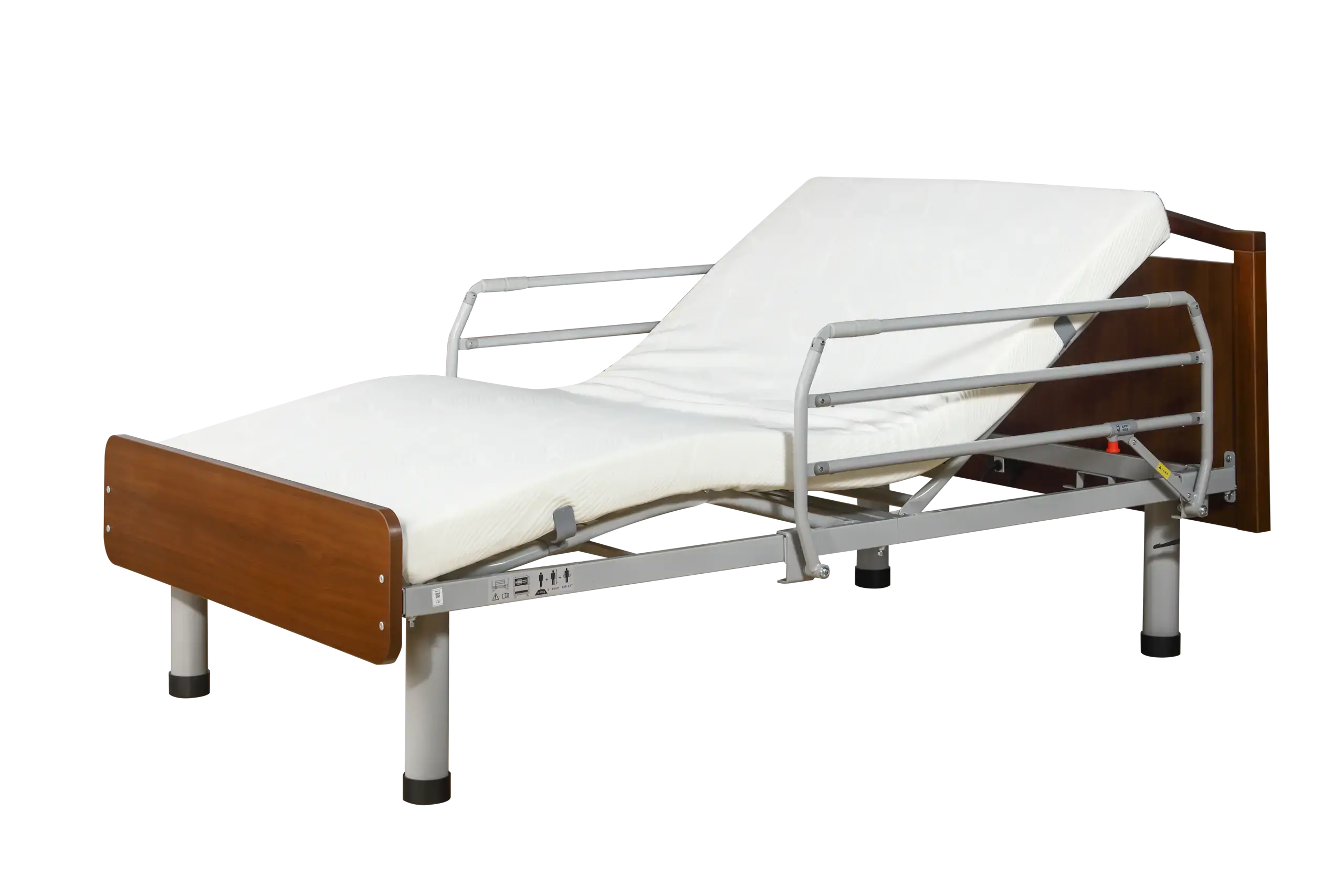 Function Electric Bed TSY-T2A-5
