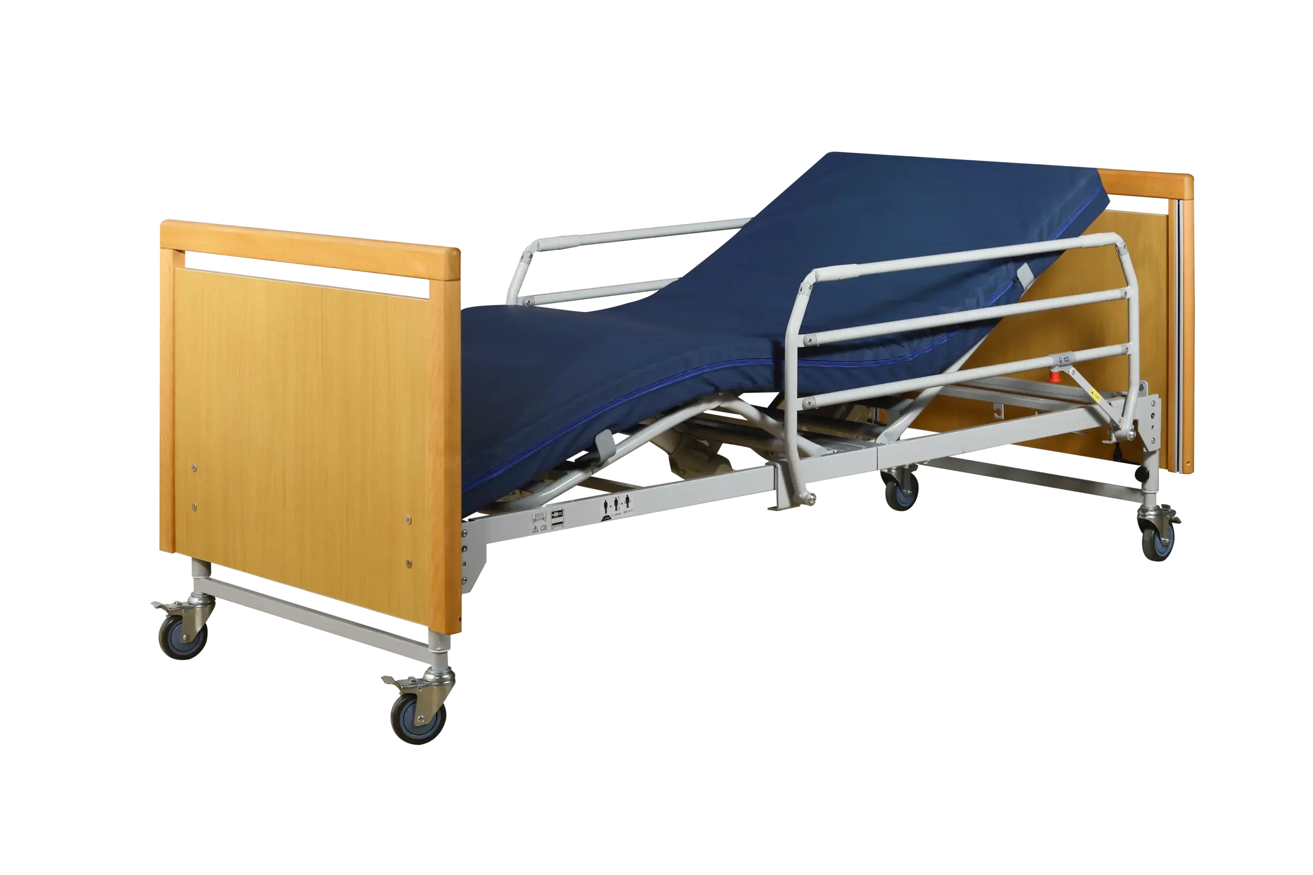 Function Electric Bed TSY-T2B-6