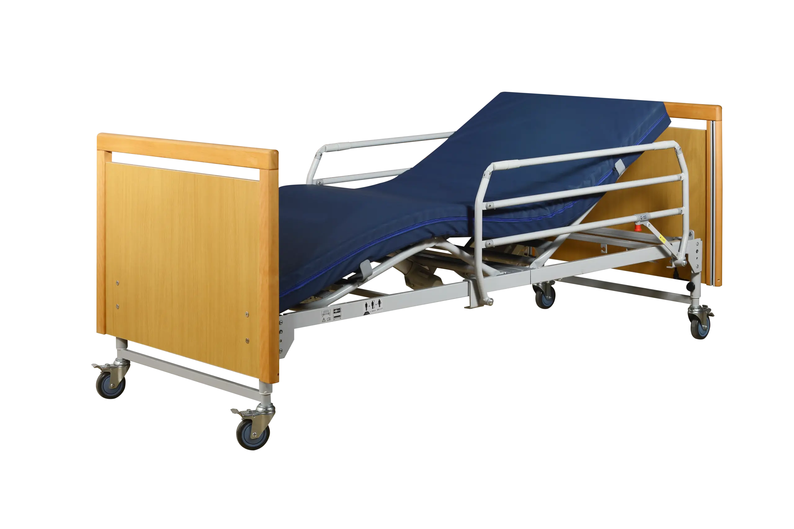 Function Electric Bed TSY-T2B-6