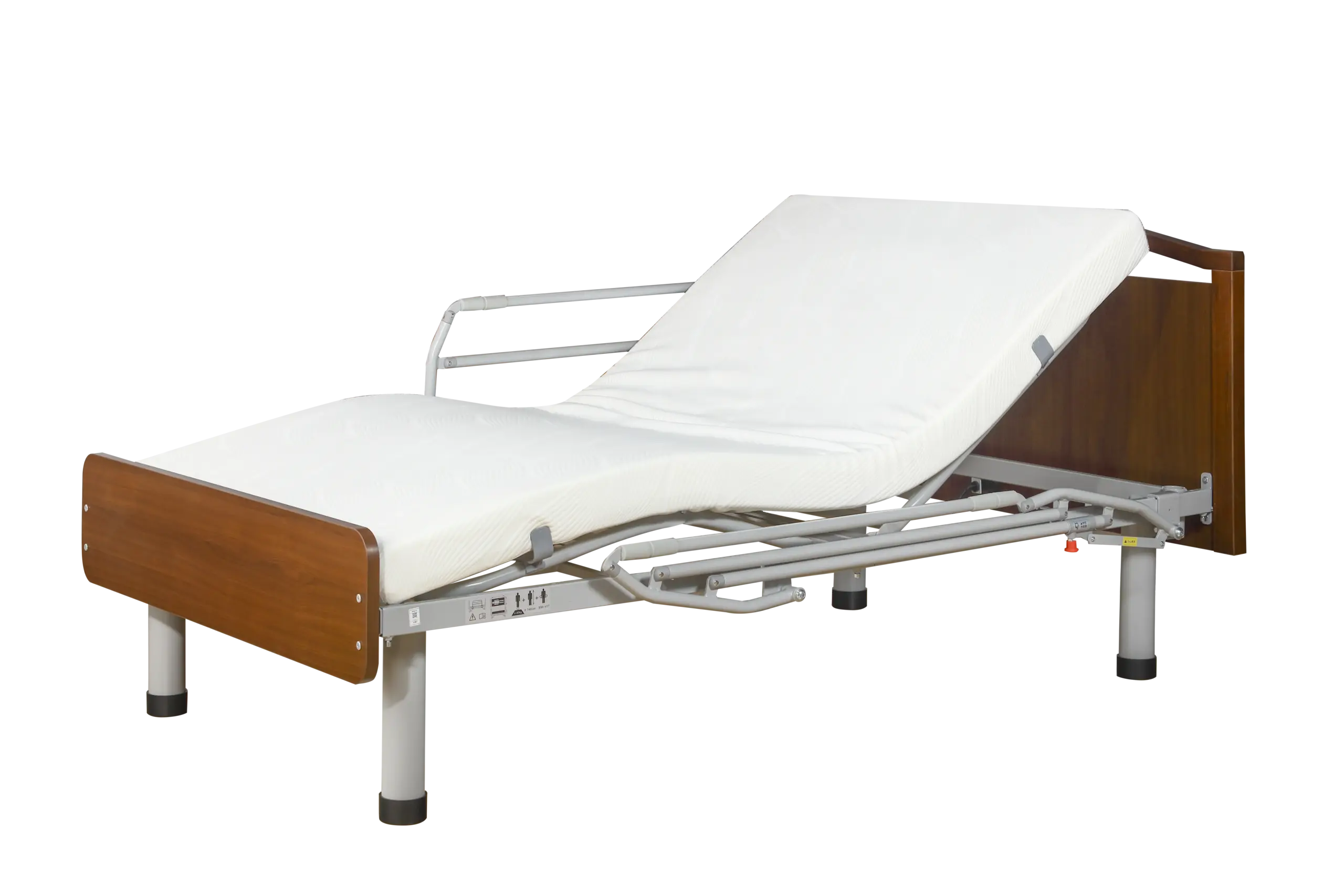 Function Electric Bed TSY-T2A-6