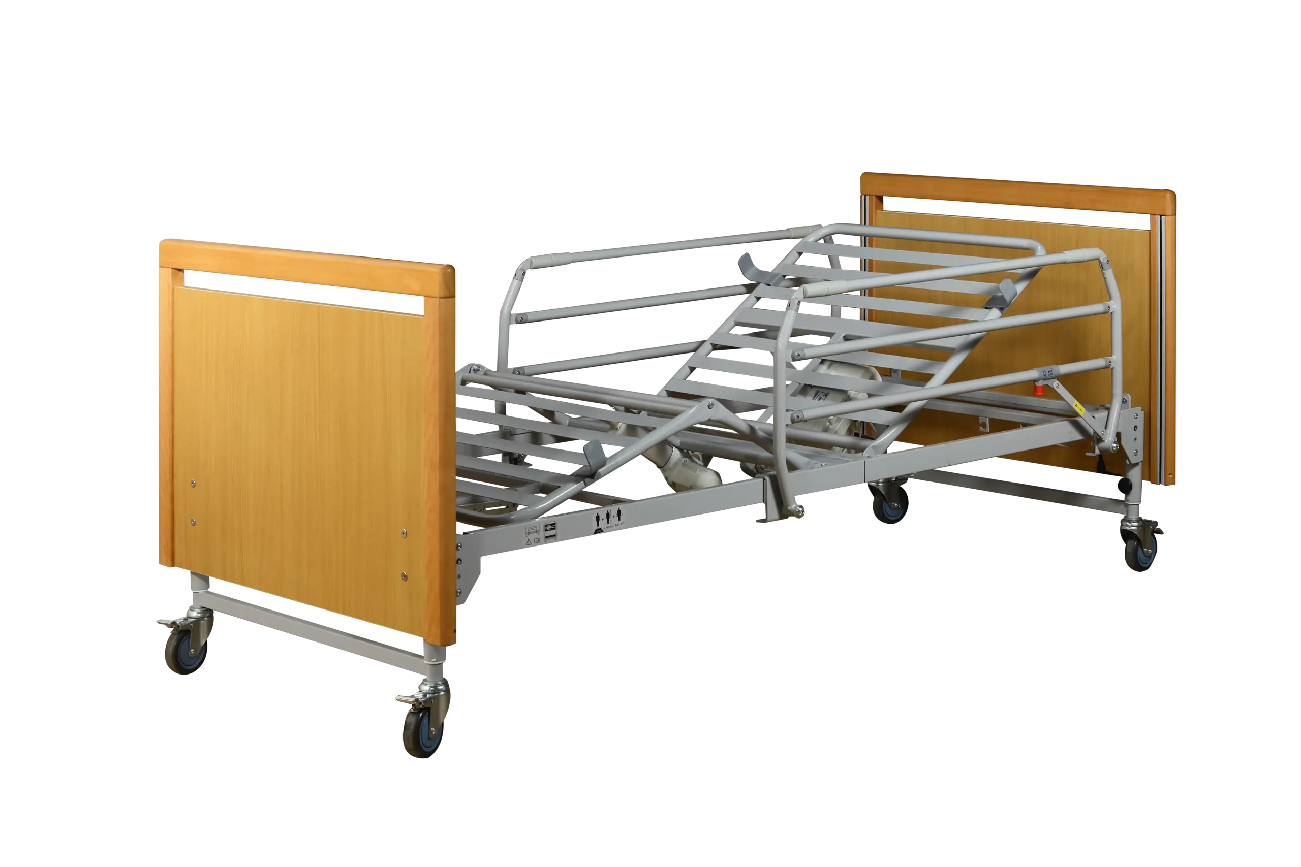 Function Electric Bed TSY-T2B-8