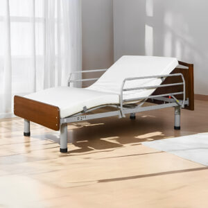 Function Electric Bed TSY-T2A