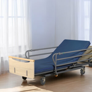 Function Electric Bed TSY-T3A